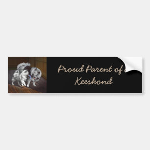 Keeshond Playtime Malerei - Niedliche Original Dog Autoaufkleber