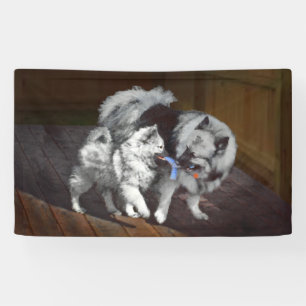 Keeshond Playtime Malerei - Niedliche Original Dog Banner