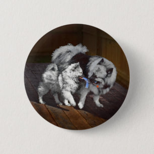 Keeshond Playtime Malerei - Niedliche Original Dog Button
