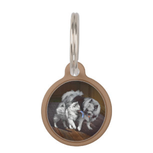 Keeshond Playtime Malerei - Niedliche Original Dog Haustiermarke