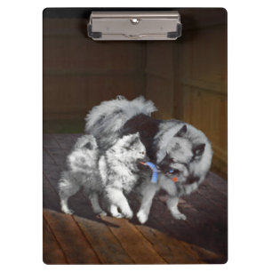 Keeshond Playtime Malerei - Niedliche Original Dog Klemmbrett