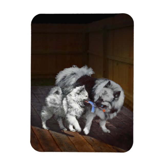 Keeshond Playtime Malerei - Niedliche Original Dog Magnet (Vertikal)