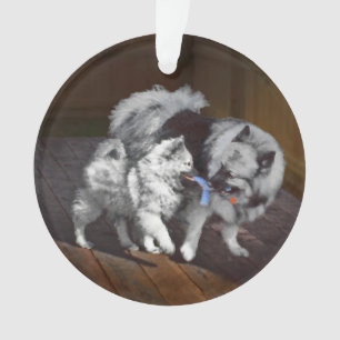 Keeshond Playtime Malerei - Niedliche Original Dog Ornament
