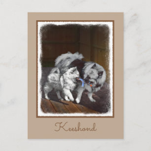 Keeshond Playtime Malerei - Niedliche Original Dog Postkarte