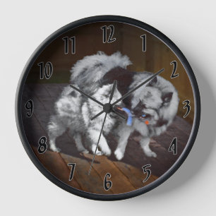 Keeshond Playtime Malerei - Niedliche Original Dog Uhr