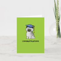 Keeshond Puppy Abschluss
