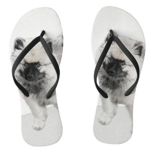 Keeshond Puppy Zeichnend - Niedliche Original Hund Flip Flops
