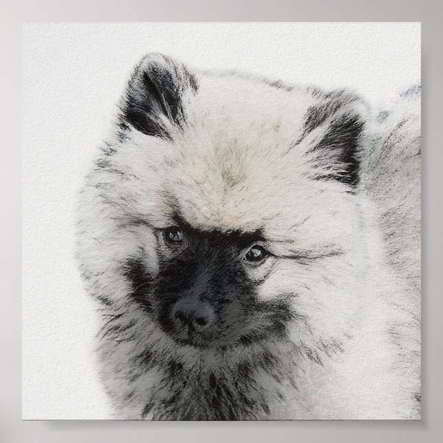 Keeshond Puppy Zeichnend - Niedliche Original Hund Poster (Vorne)