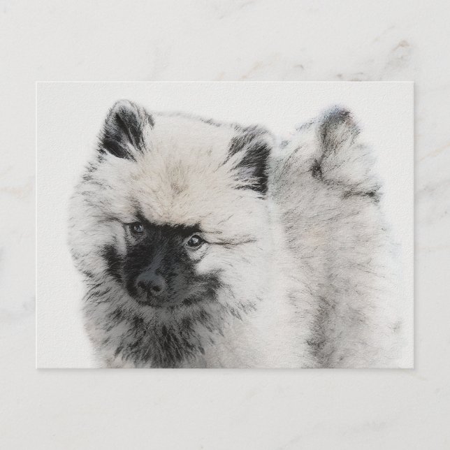 Keeshond Puppy Zeichnend - Niedliche Original Hund Postkarte (Vorderseite)