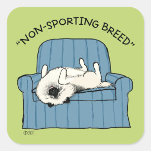 Keeshond-Rasse Funny Keesie Dog Quadratischer Aufkleber