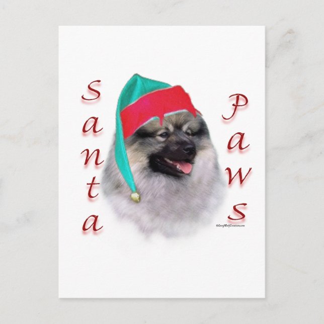Keeshond Santa Paws Feiertagspostkarte (Vorderseite)
