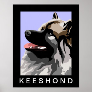 Keeshond Seitenporträt Poster