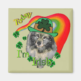 Keeshond St Patrick's Day Magnet