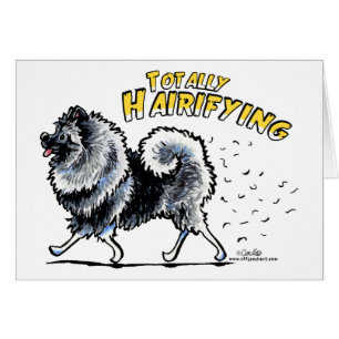 Keeshond total Hairifying