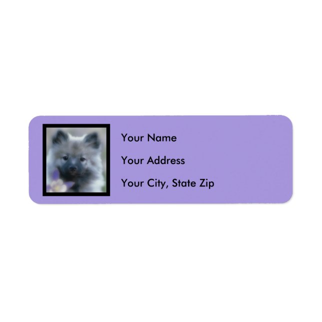 Keeshond und Columbine - Hundfoto (Vorne)