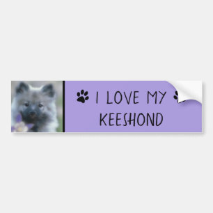 Keeshond und Columbine - Hundfoto Autoaufkleber