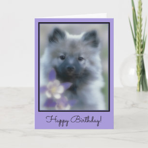 Keeshond und Columbine - Hundfoto Karte