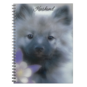 Keeshond und Columbine - Hundfoto Notizblock