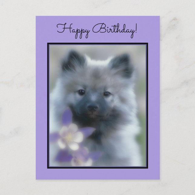 Keeshond und Columbine - Hundfoto Postkarte (Vorderseite)