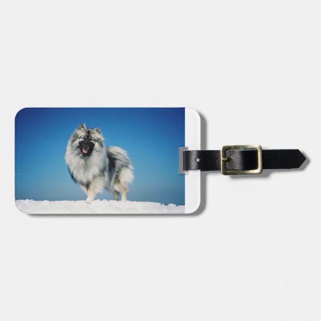 Keeshond voll in snow.png gepäckanhänger (Vorderseite horizontal)