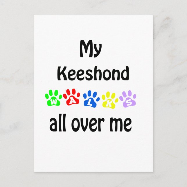 Keeshond Walks Design Postkarte (Vorderseite)