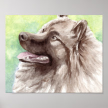 Keeshond Watercolor Portrait