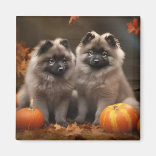 Keeshond-Welpe Herbstfreude Kürbis Magnet