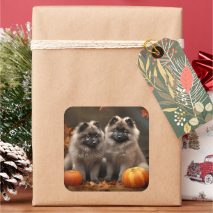 Keeshond Welpe Herbstvergnügen Kürbis Quadratischer Aufkleber