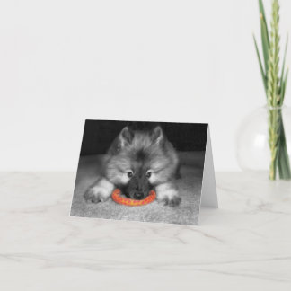 Keeshond-Welpen-Anmerkungs-Karte Karte