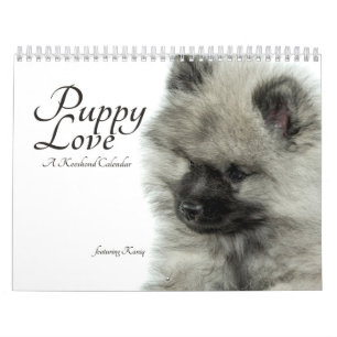 Keeshond-Welpen-Kalender Kalender