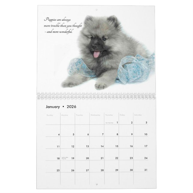 Keeshond-Welpen-Kalender Kalender (Jan 2026)