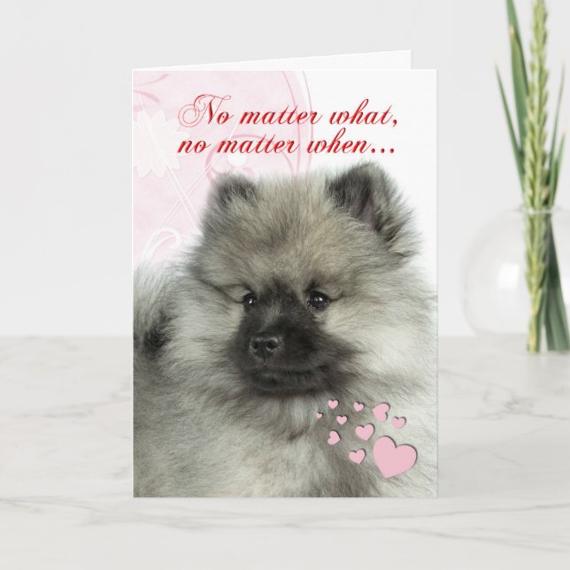 Keeshond-Welpen-Valentinsgruß Feiertagskarte (Vorderseite)