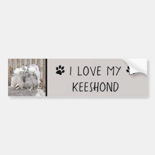 Keeshonds at Gate Painting - Original Dog Art Autoaufkleber