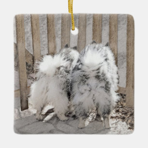 Keeshonds at Gate Painting - Original Dog Art Keramikornament