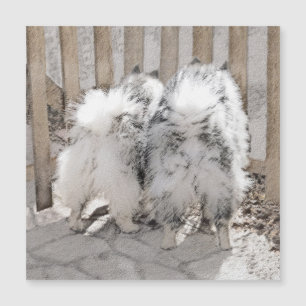 Keeshonds at Gate Painting - Original Dog Art Magnetkarte