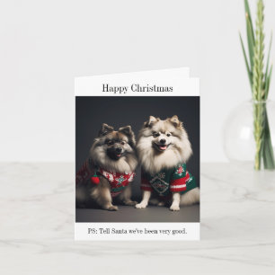 Keeshonds in Christmas Jumpers Card Karte