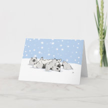 Keesies im Schnee | Keeshond Christmas Custom