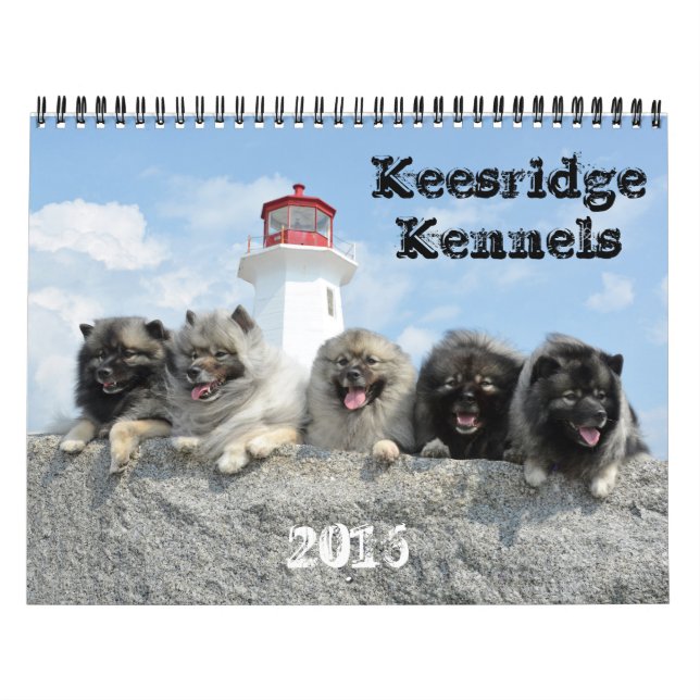 Keesridge Hundehütten-Kalender 2016 Kalender (Titelbild)