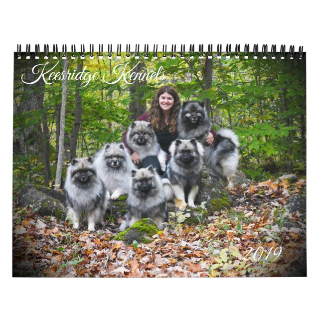 Keesridge Keeshond-Kalender 2019 Kalender (Titelbild)