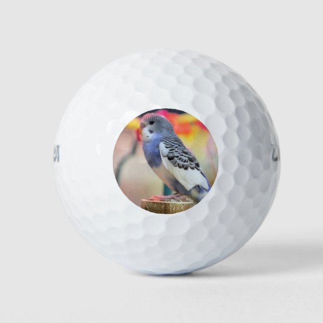 Keet Golfball (Vorderseite)
