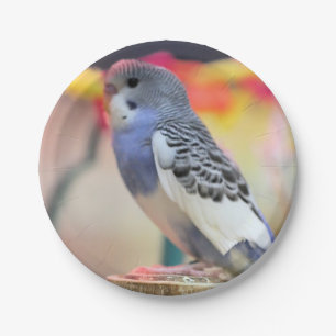 Keet Pappteller