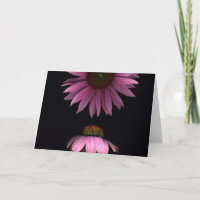 Kegel-Blumen