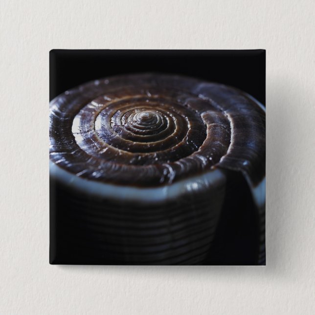 Kegel-Muschel Button (Vorderseite)