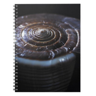 Kegel-Muschel Notizblock