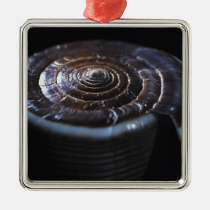 Kegel-Muschel Silbernes Ornament