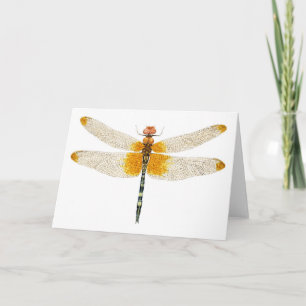 Kegelförmige Dragonfly-Wasserfarbe Karte