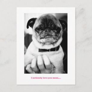 Kein aufgeregter Moment Postkarte