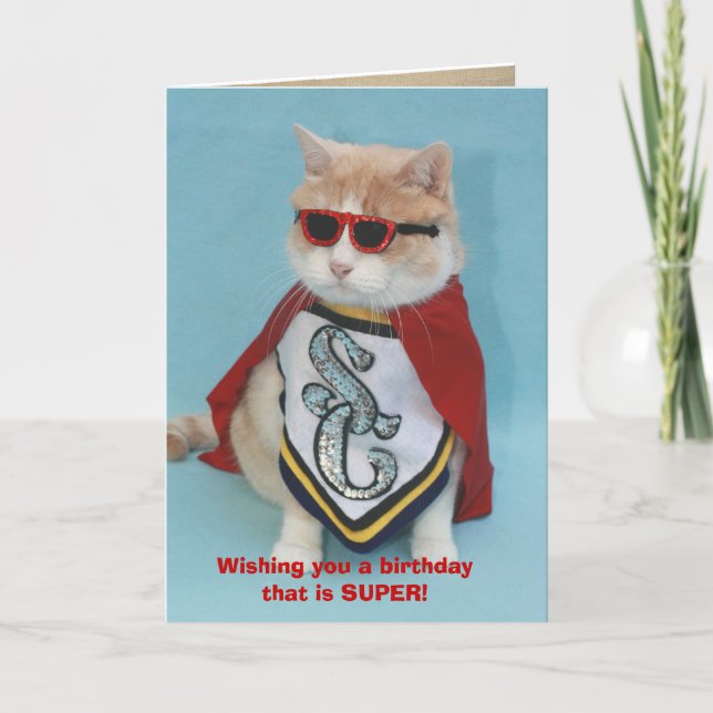 Kein Bull zum Geburtstag Karte (Vorderseite)