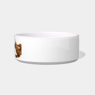 Kein Declaw Miezekatze-Katzenfutter-Schüssel Napf