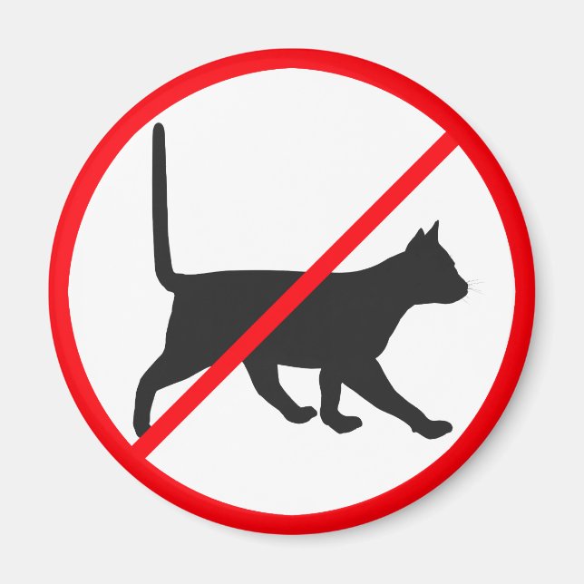 Kein Eintrag für Katzen! Magnet (Vorne)